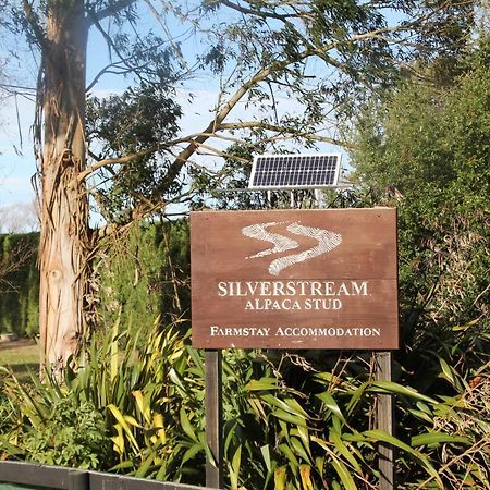 Silverstream Alpaca Farmstay & Tour Kaiapoi Extérieur photo