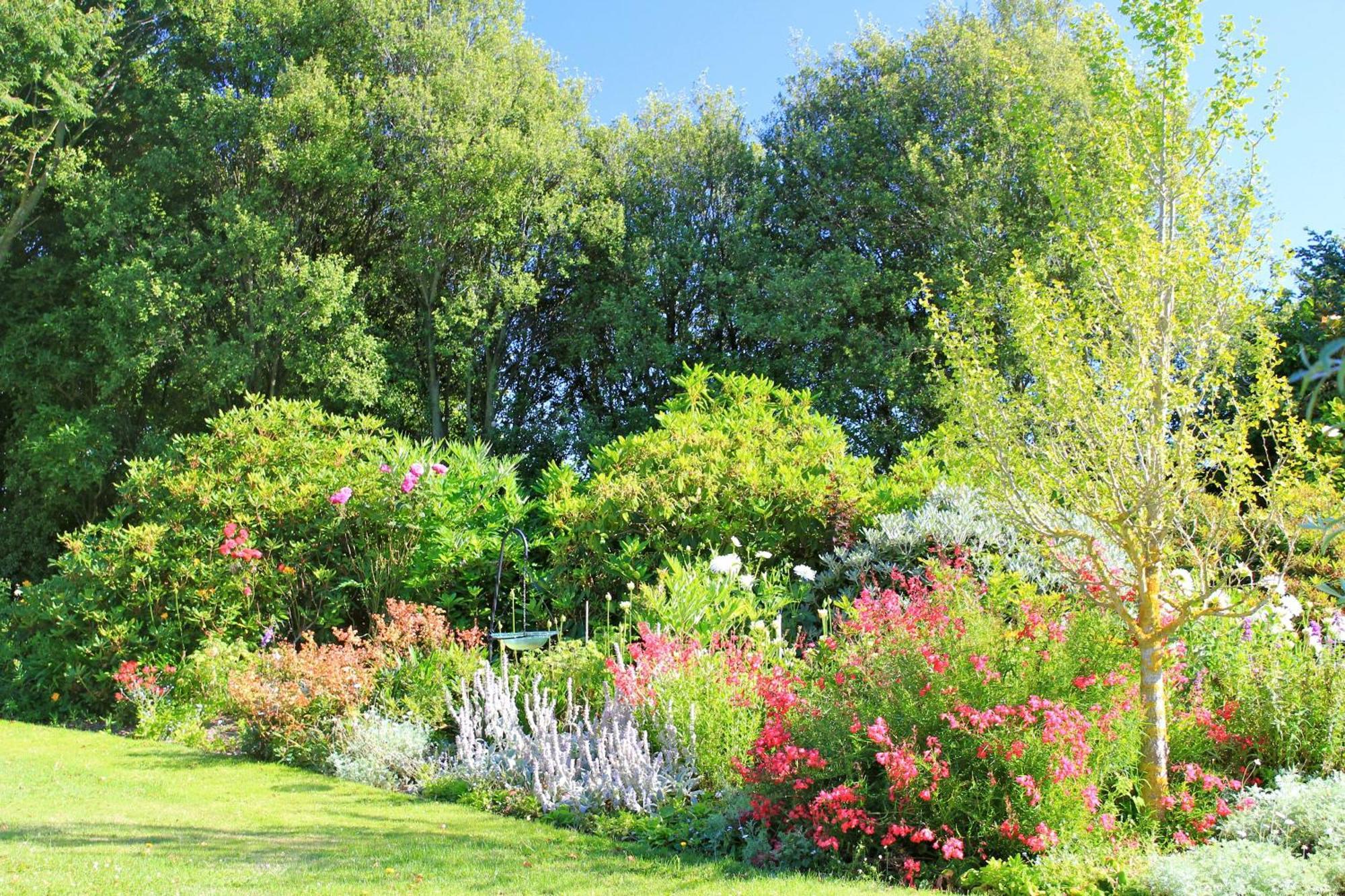 Silverstream Alpaca Farmstay & Tour Kaiapoi Extérieur photo