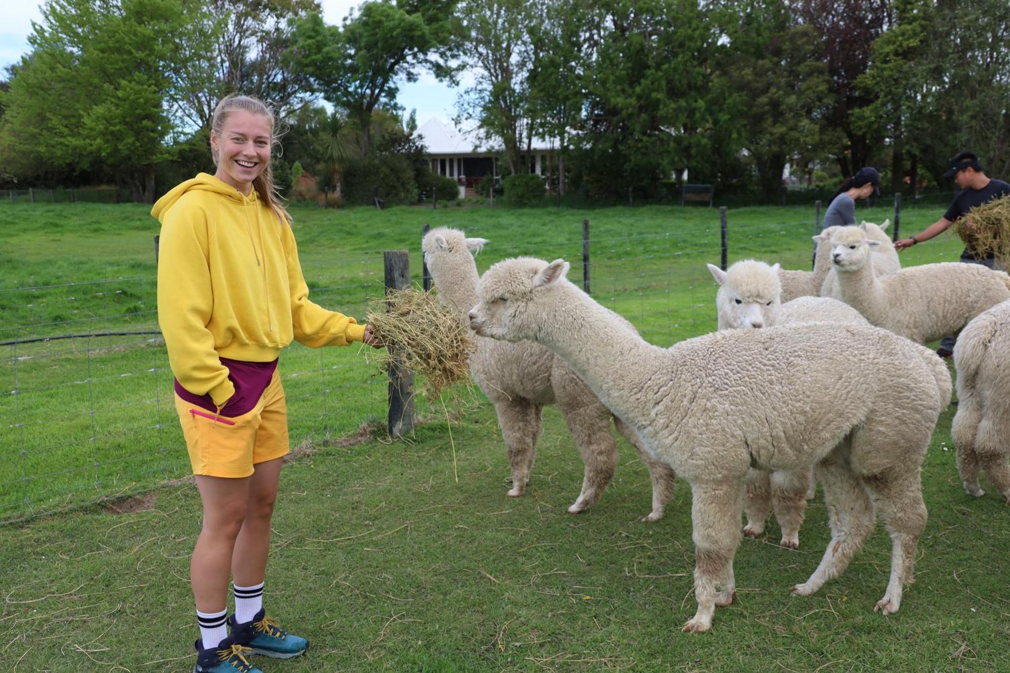 Silverstream Alpaca Farmstay & Tour Kaiapoi Extérieur photo