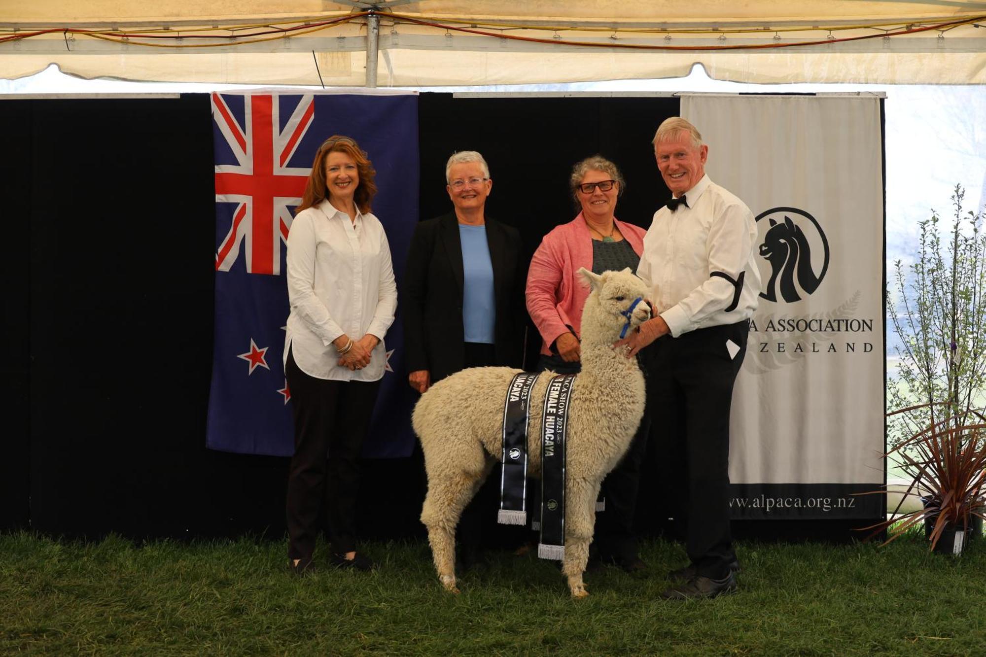 Silverstream Alpaca Farmstay & Tour Kaiapoi Extérieur photo