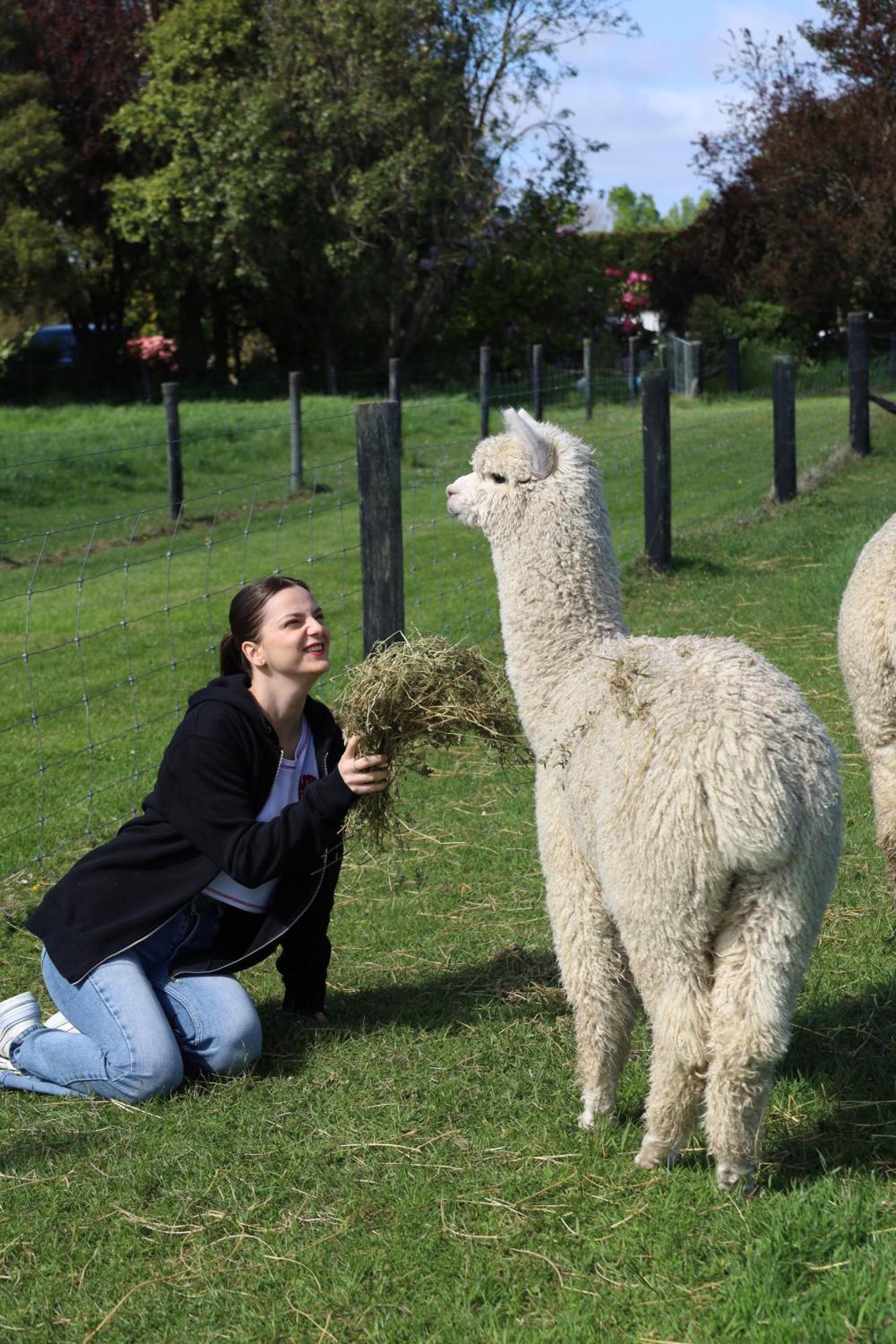 Silverstream Alpaca Farmstay & Tour Kaiapoi Extérieur photo