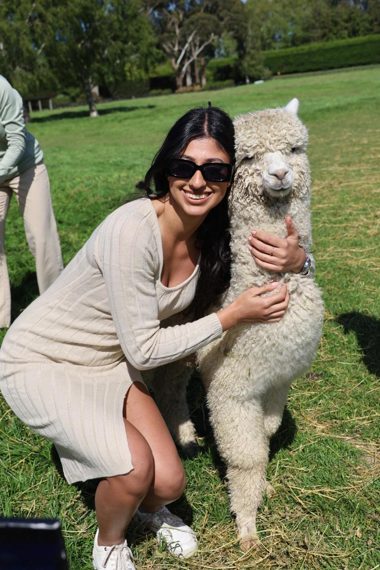 Silverstream Alpaca Farmstay & Tour Kaiapoi Extérieur photo