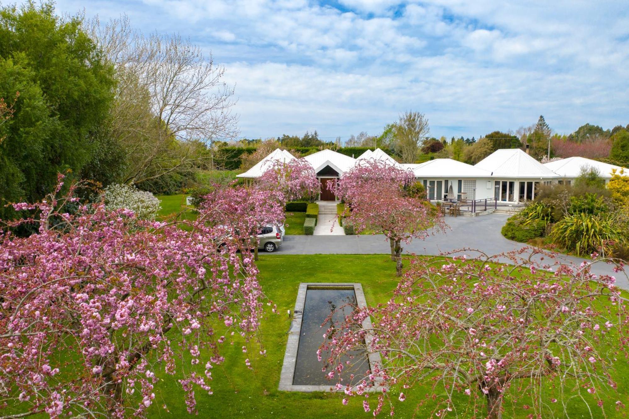 Silverstream Alpaca Farmstay & Tour Kaiapoi Extérieur photo