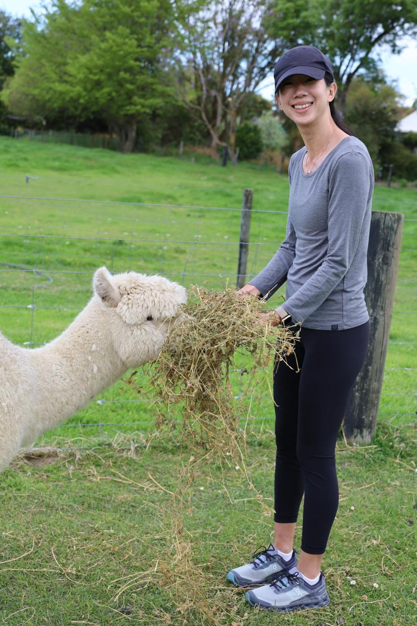 Silverstream Alpaca Farmstay & Tour Kaiapoi Extérieur photo