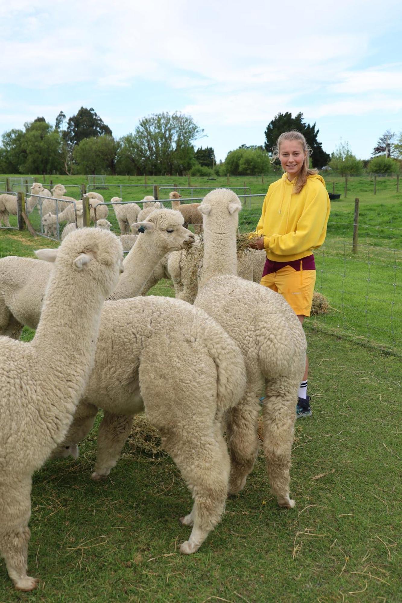 Silverstream Alpaca Farmstay & Tour Kaiapoi Extérieur photo