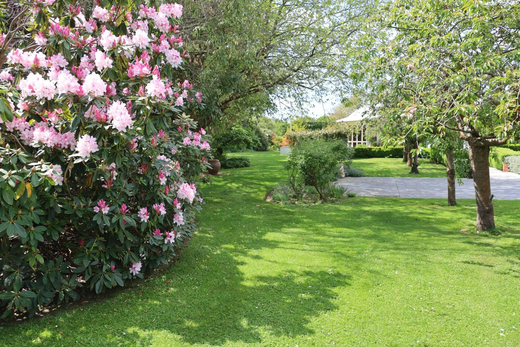 Silverstream Alpaca Farmstay & Tour Kaiapoi Extérieur photo