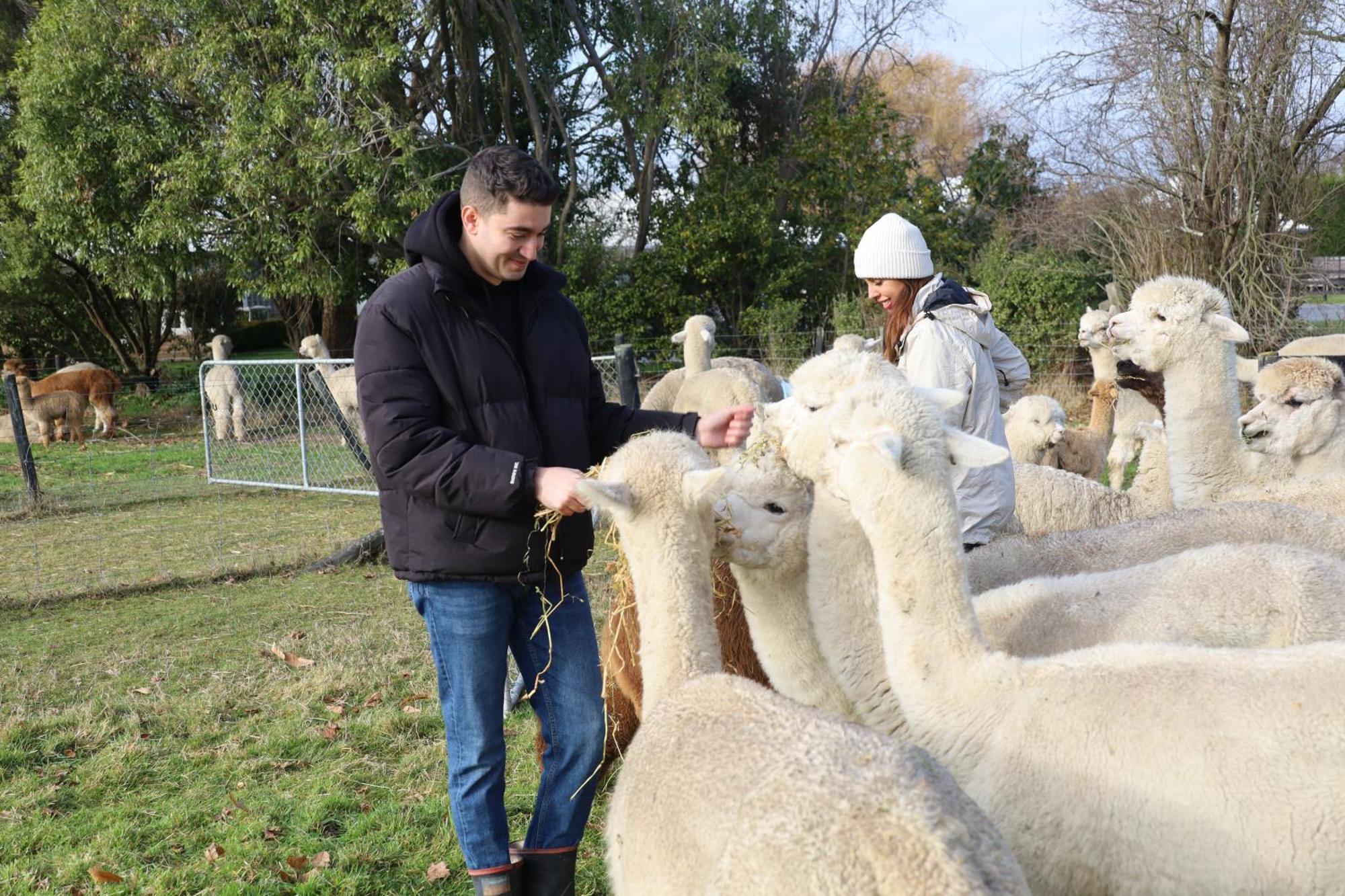 Silverstream Alpaca Farmstay & Tour Kaiapoi Extérieur photo