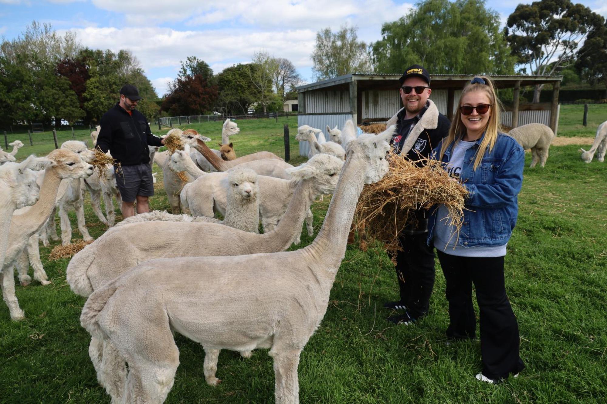 Silverstream Alpaca Farmstay & Tour Kaiapoi Extérieur photo