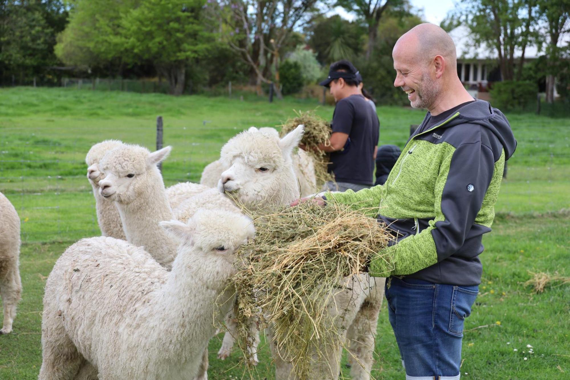 Silverstream Alpaca Farmstay & Tour Kaiapoi Extérieur photo