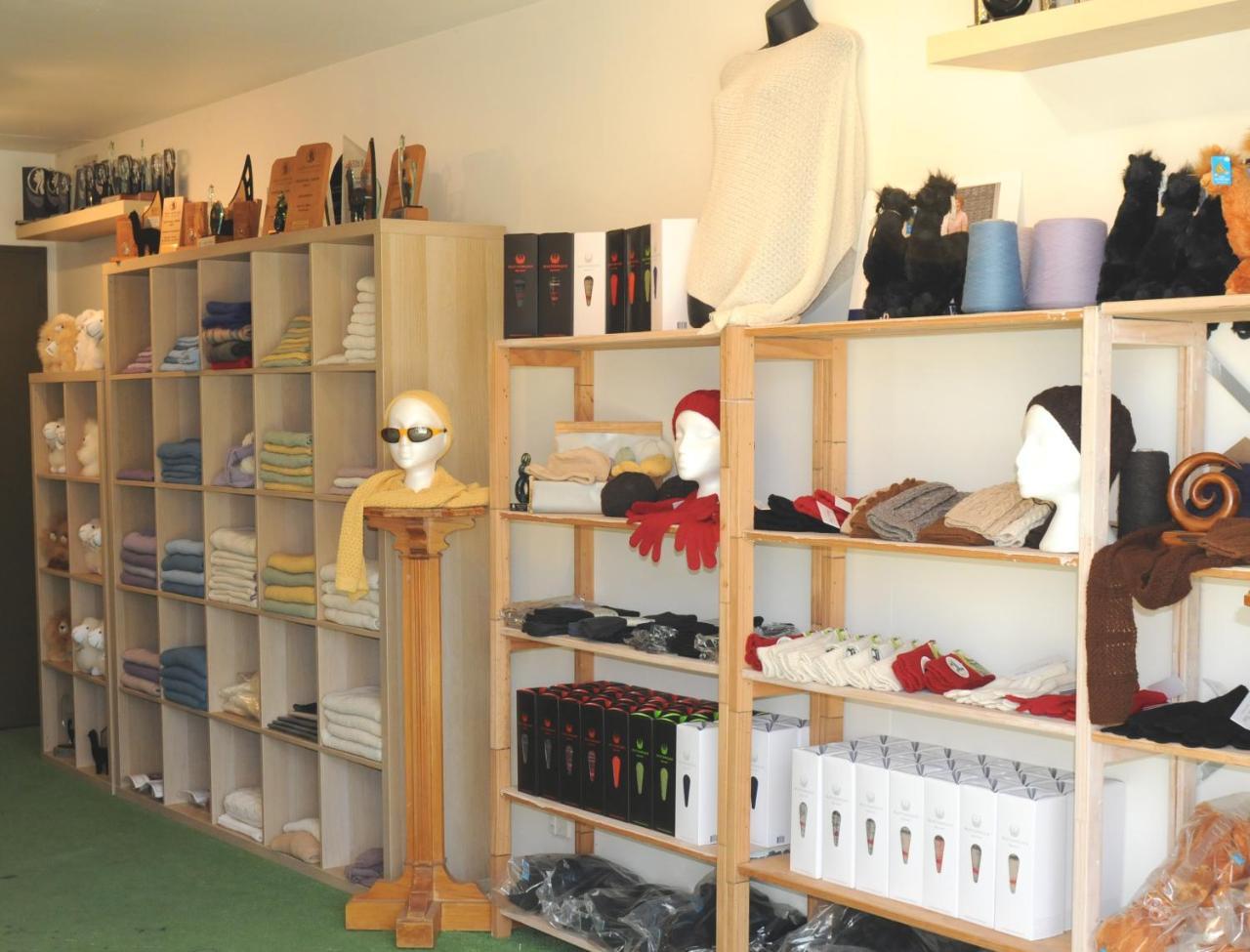 Silverstream Alpaca Farmstay & Tour Kaiapoi Extérieur photo