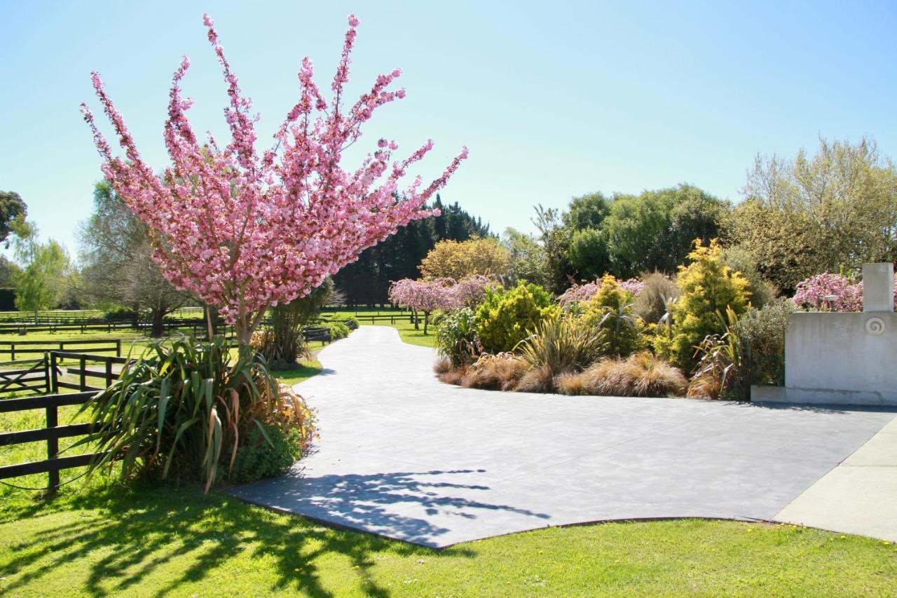 Silverstream Alpaca Farmstay & Tour Kaiapoi Extérieur photo