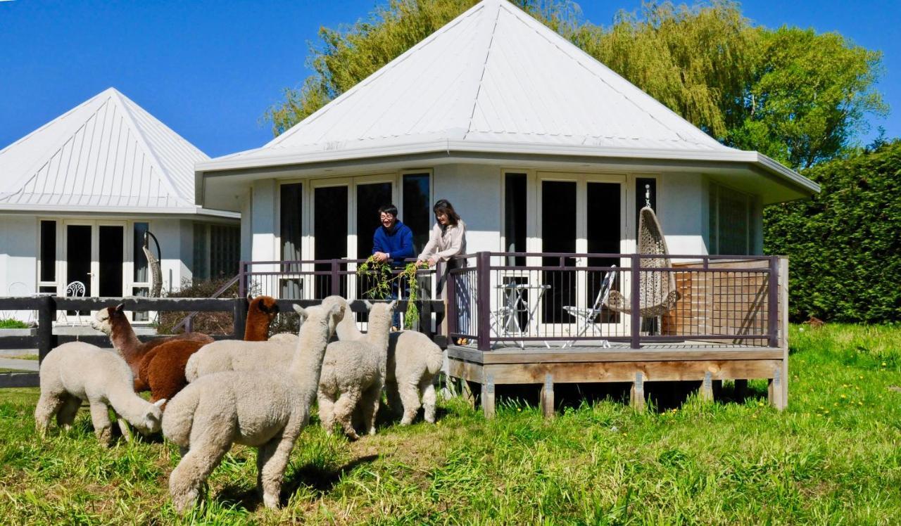 Silverstream Alpaca Farmstay & Tour Kaiapoi Extérieur photo