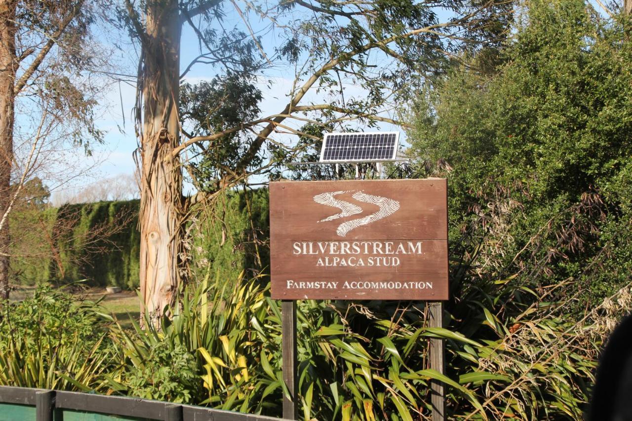 Silverstream Alpaca Farmstay & Tour Kaiapoi Extérieur photo