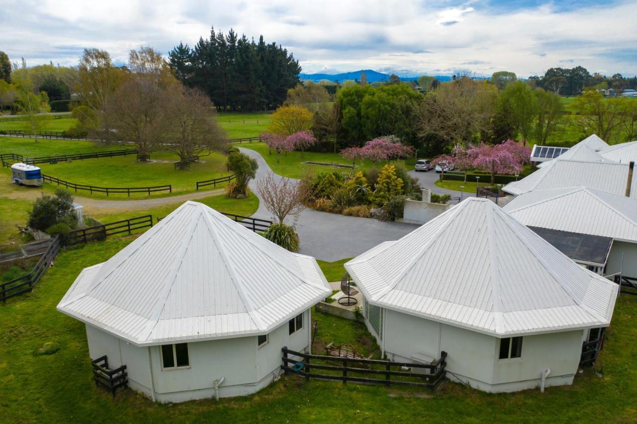 Silverstream Alpaca Farmstay & Tour Kaiapoi Extérieur photo